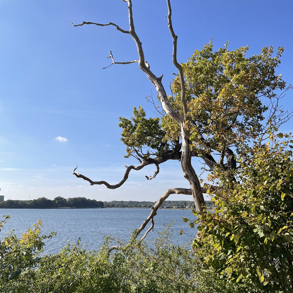 post_1193_nybol_nor_runde_1 post_1193_nybol_nor_runde_1